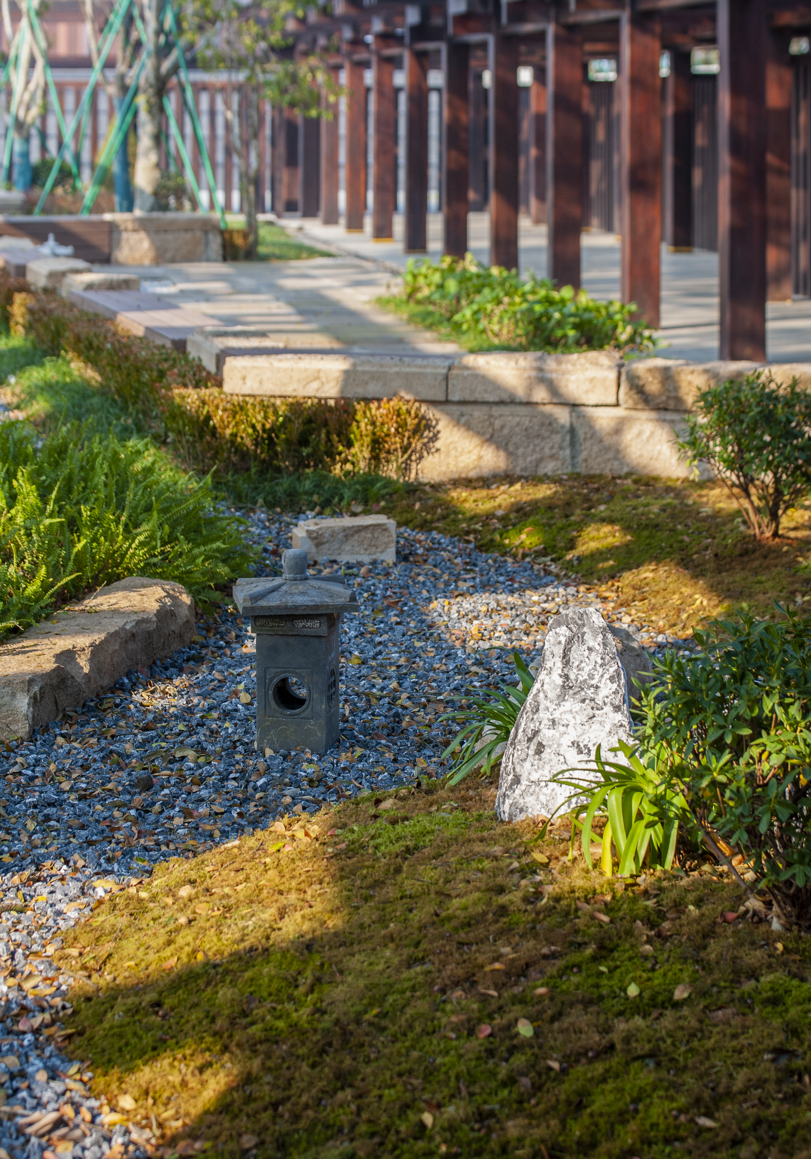 _7002051-编辑.jpg